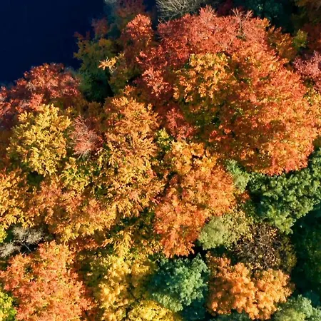 Parkresidenz Lychen, 3 *