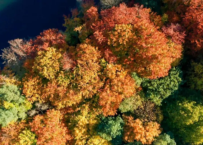 Parkresidenz Lychen, 3 *